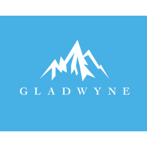 Gladwyne Investments LLP